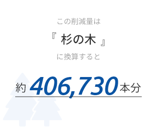 杉の木