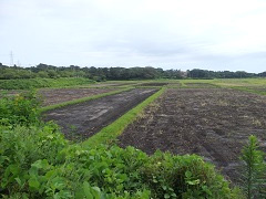 七ヶ浜町(1・3・4) 農地復旧除塩工事