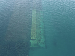 大屋海岸海岸総合交付金 人工リーフ改良ブロック据付工工事